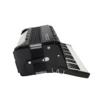 120 Bass Akkordeon Hohner Amica IV 120 forte_Akkordeon Service Center