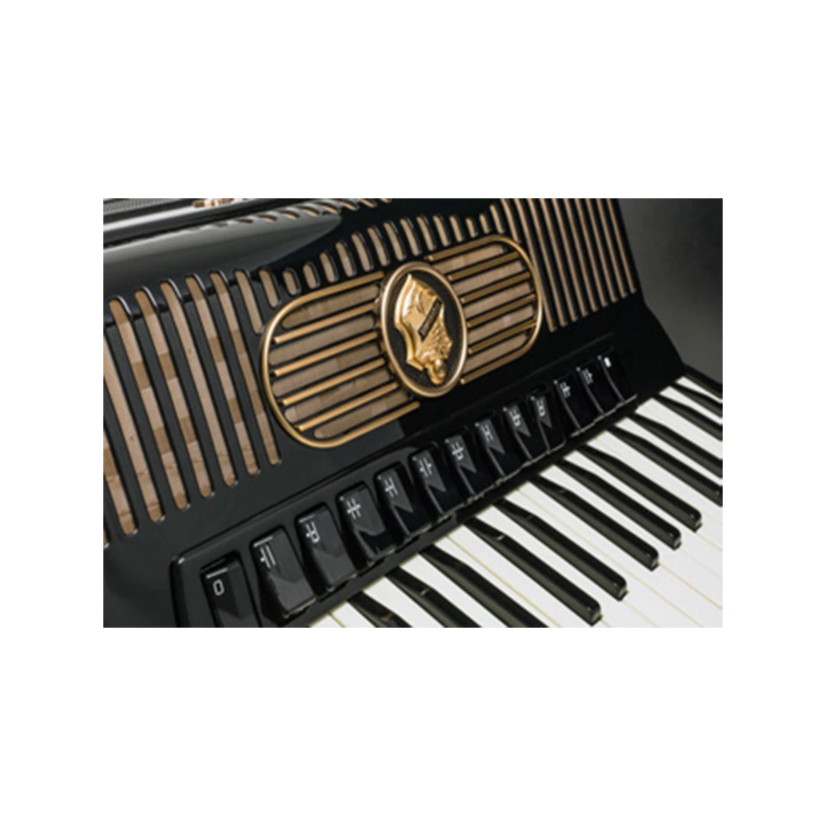 Hohner Gola 414 Piano Akkordeon Service Center